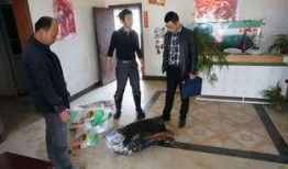 武汉法院爆料案件最新,惊天大案背后真相揭晓